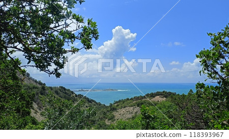 Sea view from the cliff. A reserve with old relict pines. Headland Sea view from the cliff. A reserve with old relict pines. Headland 118393967