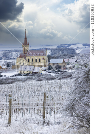 Konice church with vineyard, Znojmo region, Southern Moravia, Czech Republic 118393988