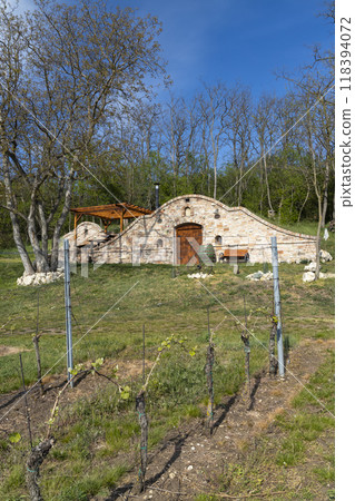 wine cellar, Palava region, South Moravia, Czech Republic 118394072