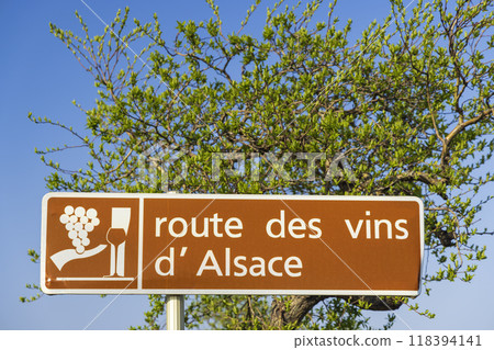 Wine road near Colmar, Alsace, France 118394141