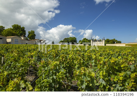 Chateau Pichon Longueville Baron, Medoc, France 118394196