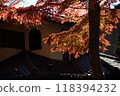 Kawaguchiko Momiji Corridor 118394232