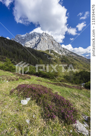 Landscape near Vrsic, Triglavski national park, Slovenia 118394476