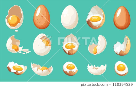 Chicken eggs. Eggshell hen product, egg organic natural fresh ingredient for health breakfast crushed and whole, set vector illustration 118394529