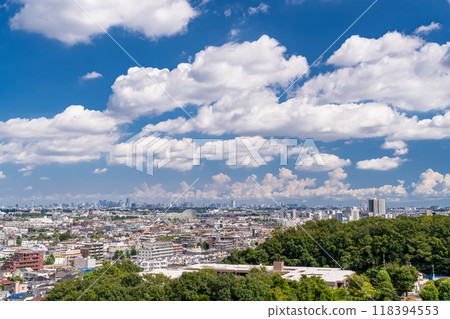 [東京]夏日天空中的都市風景 118394553