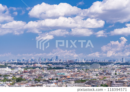 Tokyo: Cityscape under the summer sky 118394571