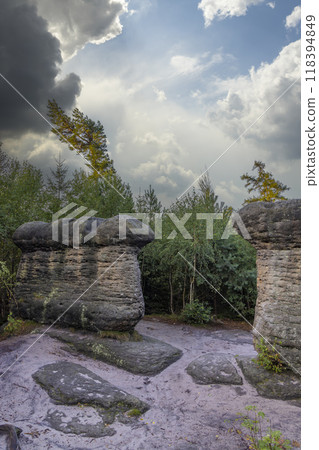 Landscape in a nature reserve Broumovske steny, eastern Bohemia, Czech Republic 118394849