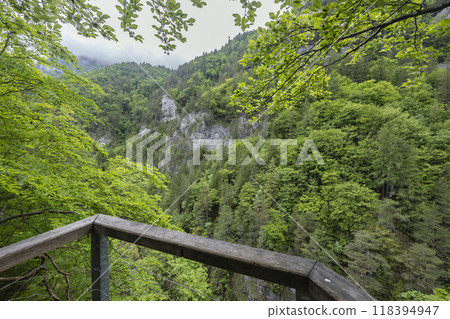 Kvacianska valley in spring time, Chocske vrchy, Slovakia Kvacianska valley in spring time, Chocske vrchy, Slovakia 118394947