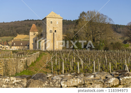 Chateau de Gevrey-Chambertin (castle), Burgundy, France 118394973