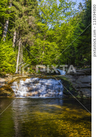 Waterfall Mumlava near Harachov, Giant Mountains (Krkonose), Eastern Bohemia, Czech Republic 118394980