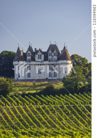 Chateau Monbazillac ( Monbazillac castle) with vineyards, Aquitaine, France 118394983