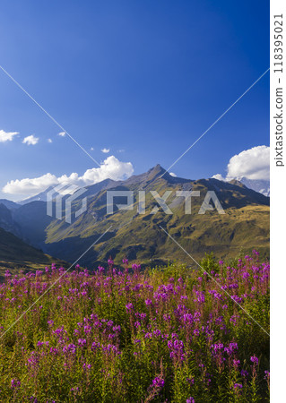 Landscape near Col du Petit-Saint-Bernard with Mont Blanc, on border France and Italy Landscape near Col du Petit-Saint-Bernard with Mont Blanc, on border France and Italy 118395021
