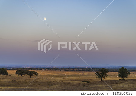 Landscape near Sao Brissos, Santiago do Escoural near Evora, Alentejo, Portugal 118395032