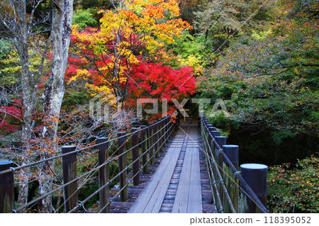 Autumn scenery of the Hananuki Valley seen from the Shiomi Falls Suspension Bridge Autumn scenery of the Hananuki Valley seen from the Shiomi Falls Suspension Bridge 118395052