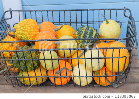 Decorative pumpkins are sold at the local market. Pumpkins with rural decor on haystack. Autumn various vegetable. Halloween symbols. 118395062