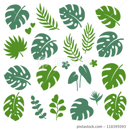 Tropical summer decorative set of palm, monstera leaves, eucalyptus branches Tropical summer decorative set of palm, monstera leaves, eucalyptus branches 118395093