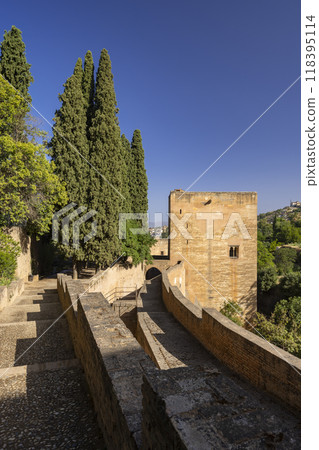 Alhambra, Generalife and Albayzin (Generalife y Albaicin de Granada), UNESCO site, Granada, Andalusia, Spain 118395114