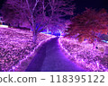 Lake Sagami Illumination: Late Autumn Illuminations 118395122