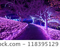 Lake Sagami Illumination: Late Autumn Illuminations 118395129