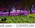 Lake Sagami Illumination: Late Autumn Illuminations 118395140
