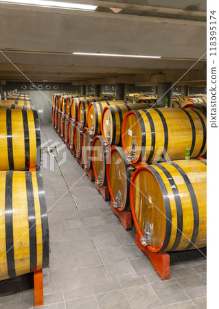 wine cellar full of wooden barrels in Barolo, Piedmont, Italy wine cellar full of wooden barrels in Barolo, Piedmont, Italy 118395174