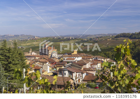 Castle and town with vineyard in Barolo, Langhe region, Piedmont, Italy 118395176
