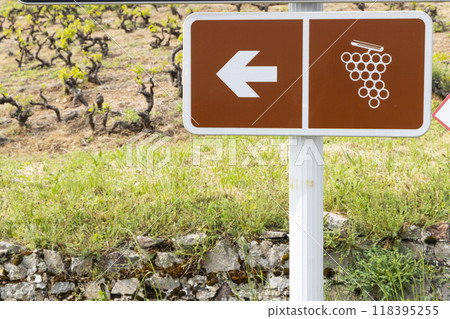Wine road near windmill (Moulin a vent de Romaneche-Thorins), Chenas, Beaujolais, Saone-et-Loire, Bourgogne-Franche-Comte, France 118395255