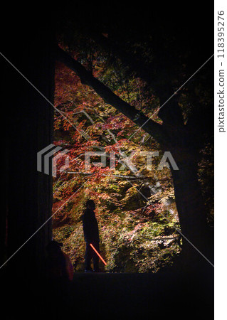 Autumn leaves garden, 30th Garden, Unzen City, Nagasaki Prefecture Autumn leaves garden, 30th Garden, Unzen City, Nagasaki Prefecture 118395276
