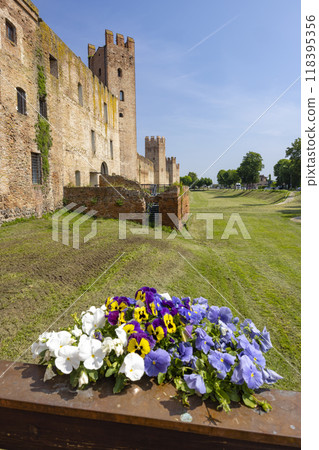 Ancient walls of Montagnana, Padova province, Veneto, Italy Ancient walls of Montagnana, Padova province, Veneto, Italy 118395356