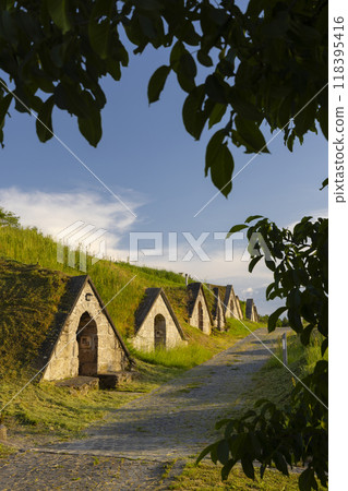 Gombos-hegyi pincesor in Hercegkut, UNESCO site, Great Plain, North Hungary 118395416