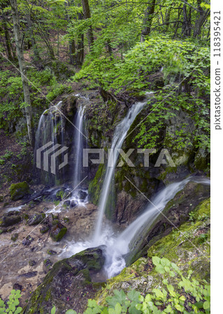 Hajsky waterfall, National Park Slovak Paradise, Slovakia 118395421