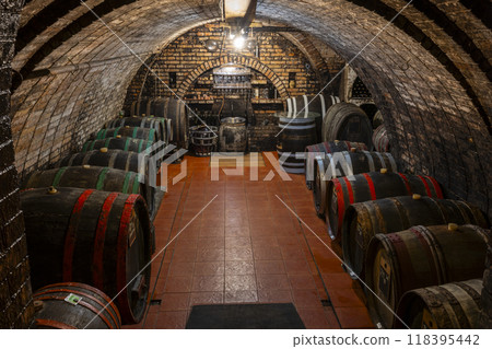 Wine cellars with barrels in Ivan, Southern Moravia, Czech Republic Wine cellars with barrels in Ivan, Southern Moravia, Czech Republic 118395442