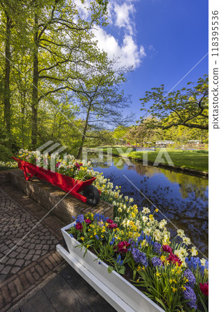 Keukenhof flower garden - largest tulip park in world, Lisse, Netherlands 118395536