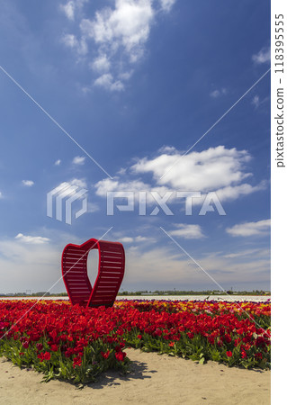 Field of tulips with red heart near Keukenhof, The Netherlands Field of tulips with red heart near Keukenhof, The Netherlands 118395555