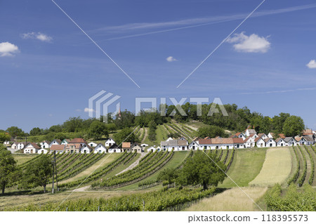 Traditional wine cellars with vineyard in Galgenberg near Wildendurnbach, Lower Austria, Austria 118395573