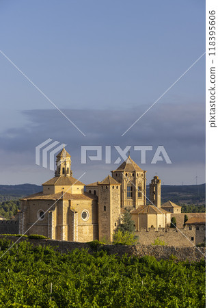 Royal Abbey of Santa Maria de Poblet, cistercian monastery, Catalonia, Spain Royal Abbey of Santa Maria de Poblet, cistercian monastery, Catalonia, Spain 118395606
