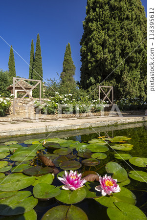 Alhambra, Generalife and Albayzin (Generalife y Albaicin de Granada), UNESCO site, Granada, Andalusia, Spain 118395612