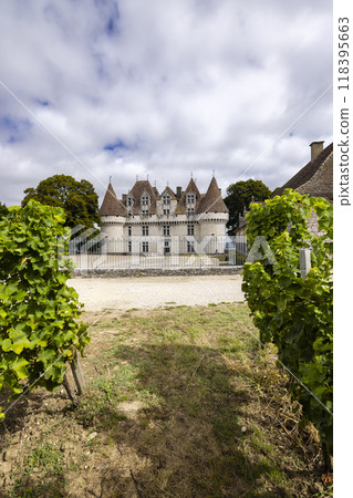 Monbazillac castle (Chateau de Monbazillac) with vineyard, Dordogne department, Aquitaine, France 118395663