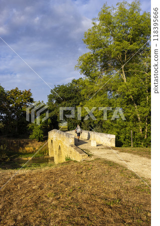 Romanesque bridge of Artigue and river Osse near Larressingle on route to Santiago de Compostela, UNESCO World Heritage Site, departement Gers, France 118395666