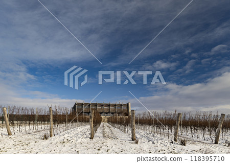 Winter landscape near Popice, Southern Moravia, Czech Republic Winter landscape near Popice, Southern Moravia, Czech Republic 118395710