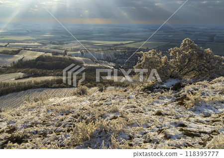 Winter landscape near Mikulov, Palava region, Southern Moravia, Czech Republic Winter landscape near Mikulov, Palava region, Southern Moravia, Czech Republic 118395777