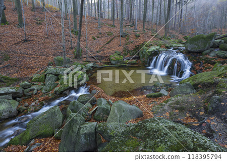 Maly Stolpich waterfall, Jizerskohorske buciny, UNESCO site, Northern Bohemia, Czech Republic Maly Stolpich waterfall, Jizerskohorske buciny, UNESCO site, Northern Bohemia, Czech Republic 118395794