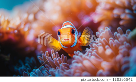 Close-Up Macro Shot of a Colorful Clownfish for Marine Photography, Ocean Aquatic Life Underwater Exploration 118395841