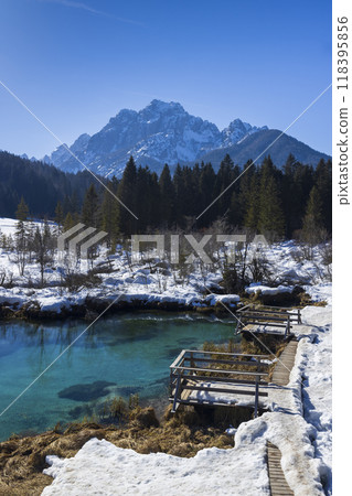 winter landscape in Zelenci, Slovenia winter landscape in Zelenci, Slovenia 118395856
