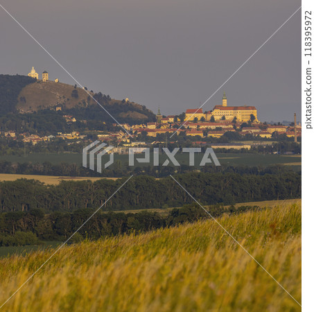 Mikulov castle and vineyard, Southern Moravia, Czech Republic 118395972