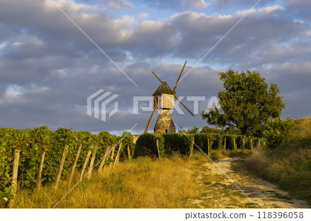 Windmill of La Tranchee and vineyard near Montsoreau, Pays de la Loire, France Windmill of La Tranchee and vineyard near Montsoreau, Pays de la Loire, France 118396058
