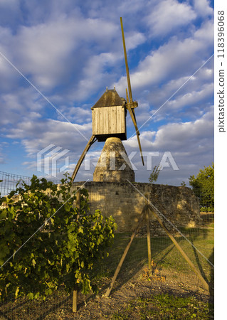 Windmill of La Tranchee and vineyard near Montsoreau, Pays de la Loire, France Windmill of La Tranchee and vineyard near Montsoreau, Pays de la Loire, France 118396068