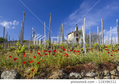 Grand cru vineyard and Chapel of Saint Christopher, Tain l'Hermitage, Rhone-Alpes, France 118396312