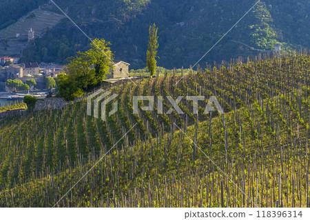 Grand cru vineyard and Chapel of Saint Christopher, Tain l'Hermitage, Rhone-Alpes, France Grand cru vineyard and Chapel of Saint Christopher, Tain l'Hermitage, Rhone-Alpes, France 118396314
