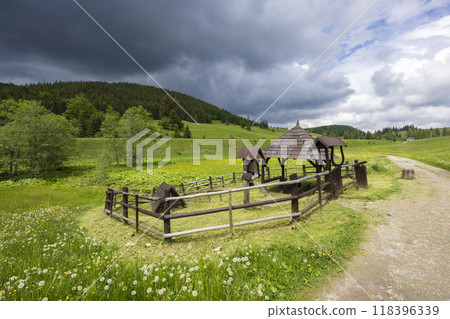 Spring of Hron, Horehronie, Low Tatras, Slovakia Spring of Hron, Horehronie, Low Tatras, Slovakia 118396339